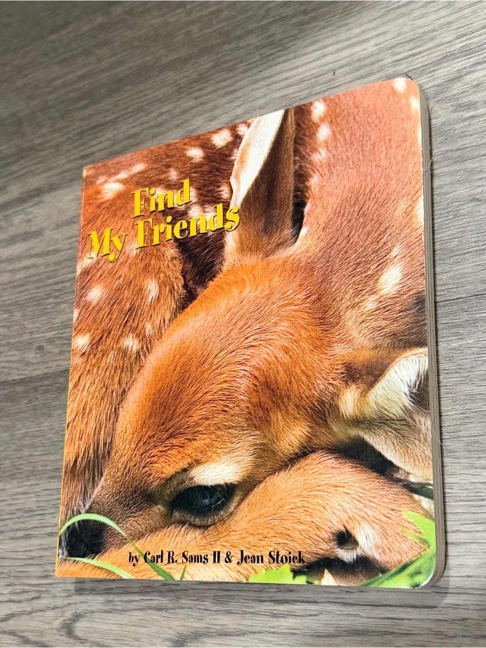 Find My Friends Board Book Sams II & Stoick Stranger in the Woods